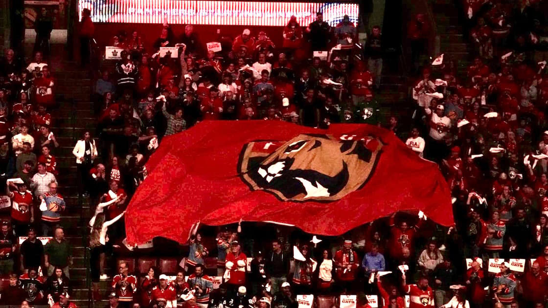 Florida panthers