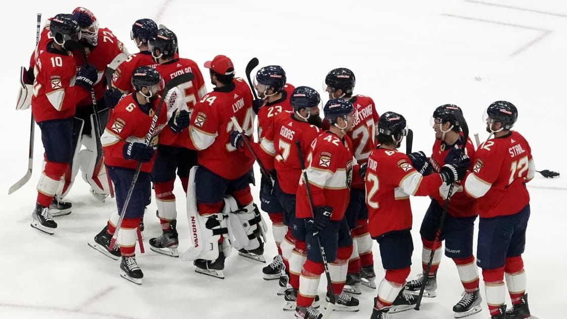 Florida panthers