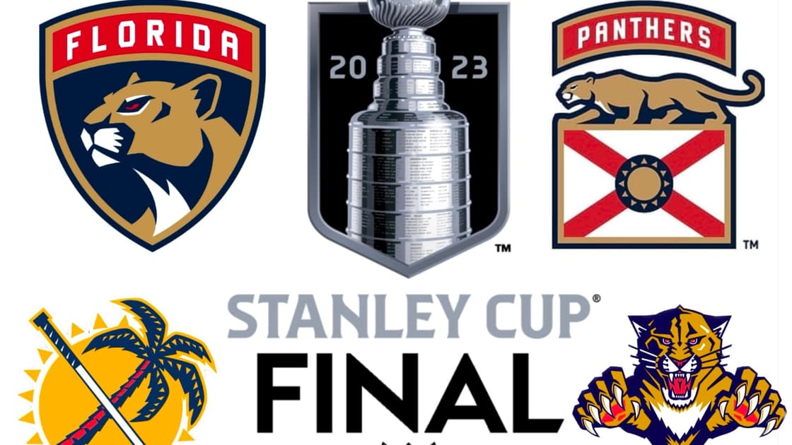 Panthers hurricanes