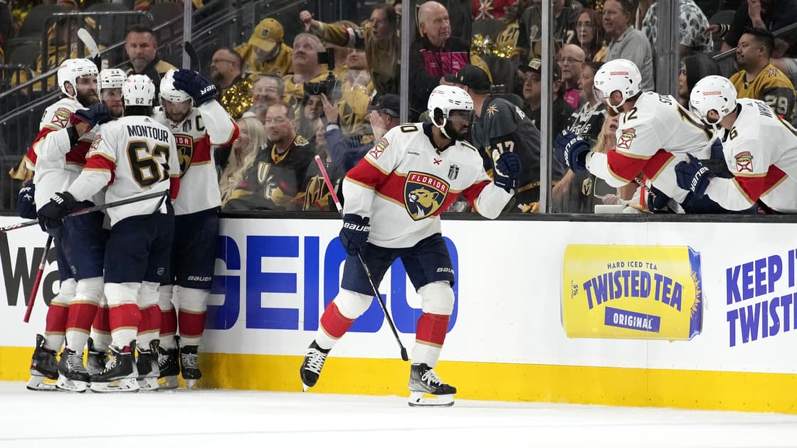 Anthony duclair