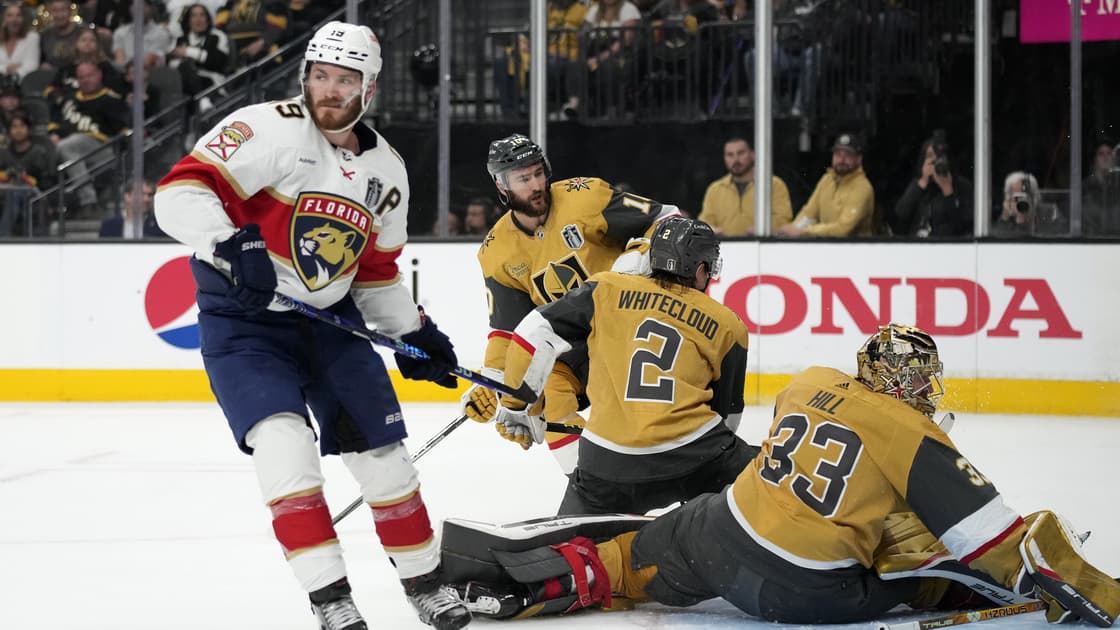 Florida panthers