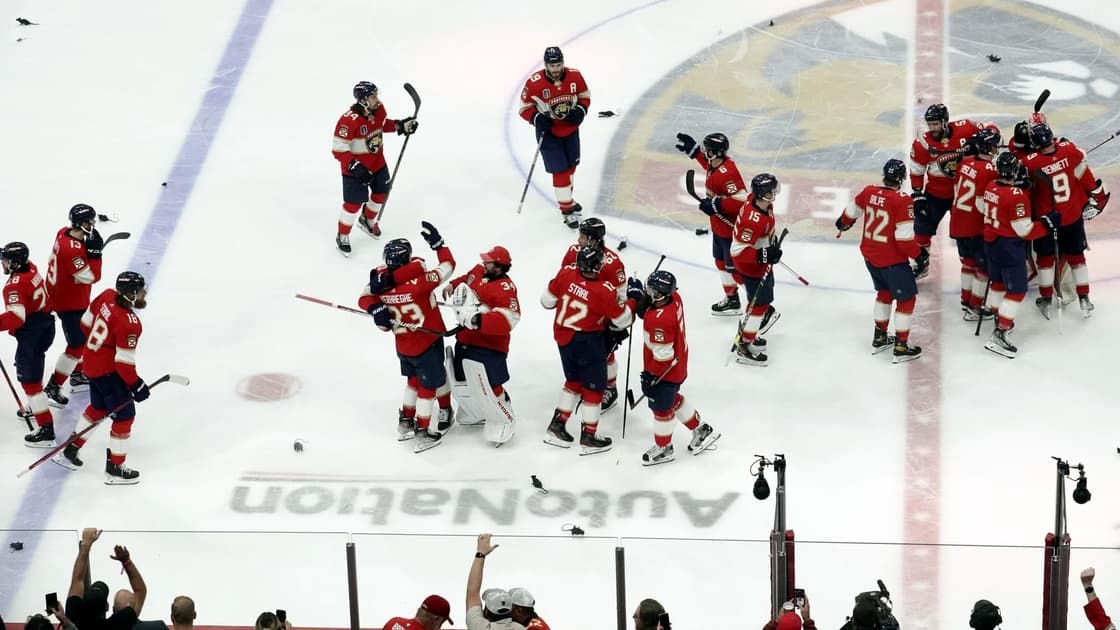 Florida panthers