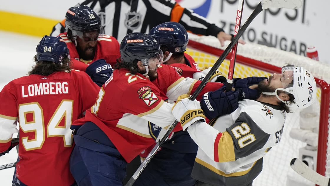 Florida panthers