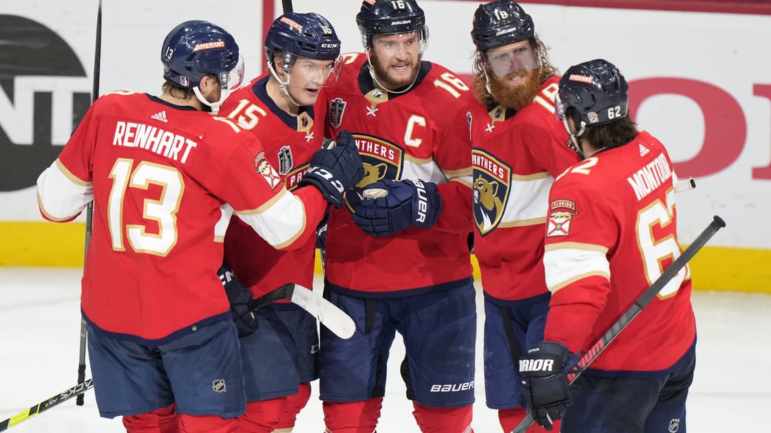 Florida panthers