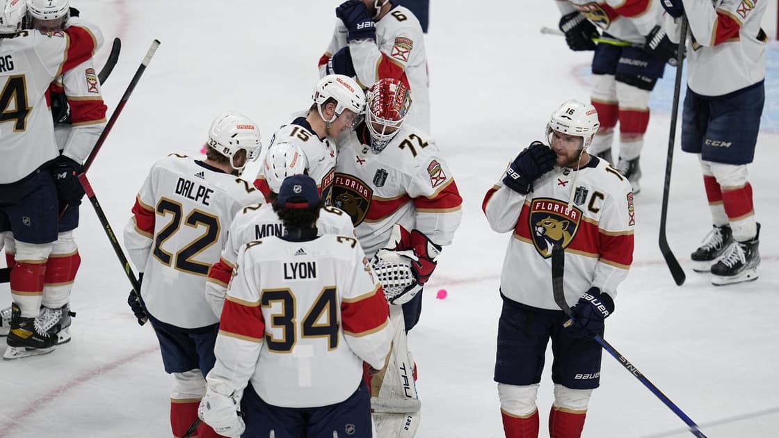 Florida panthers