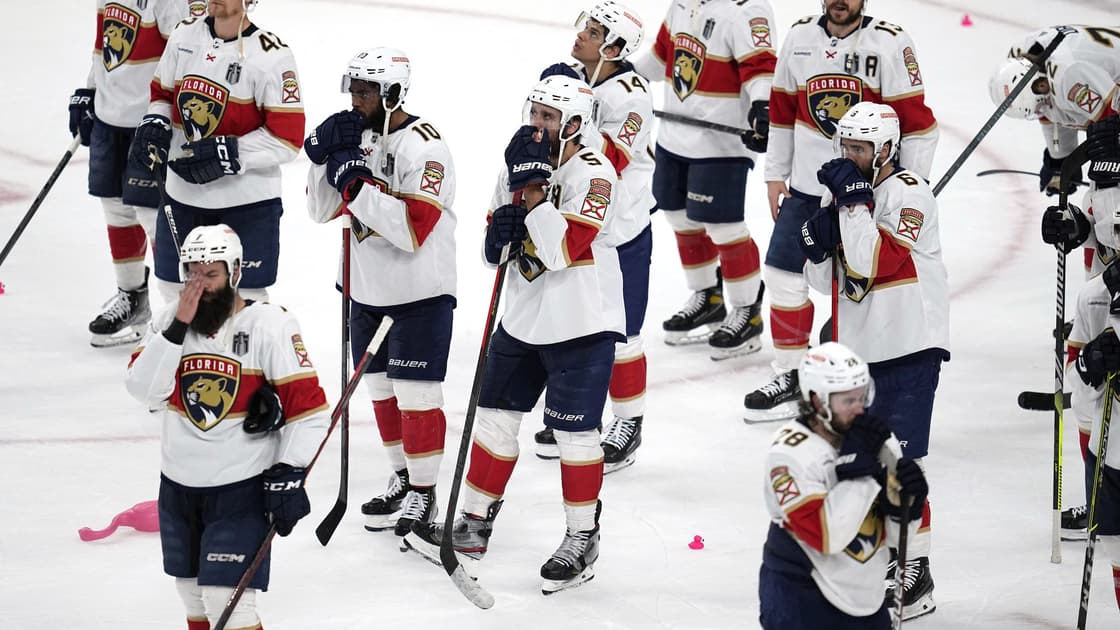 Florida panthers