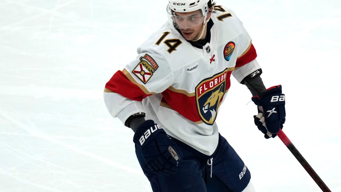 Florida panthers