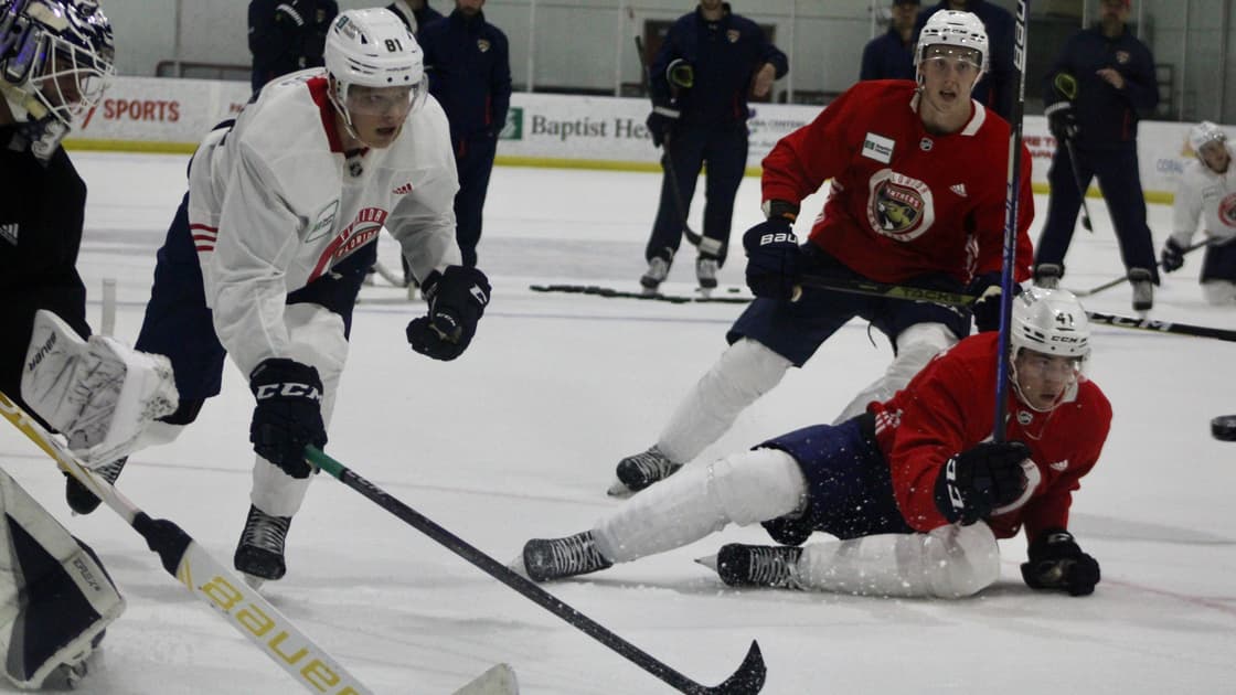 Florida Panthers