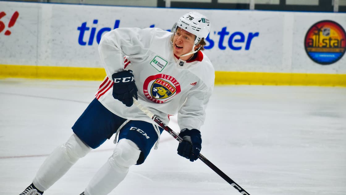 Florida panthers