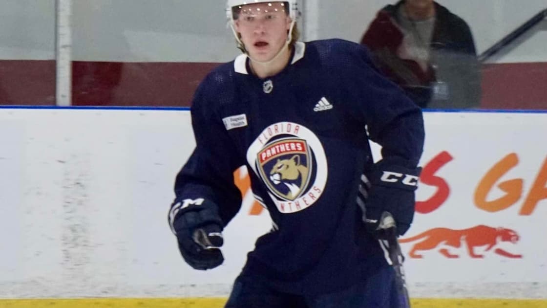 Florida panthers