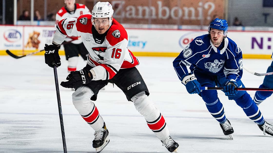 Alex True Florida Panthers Charlotte Checkers.
