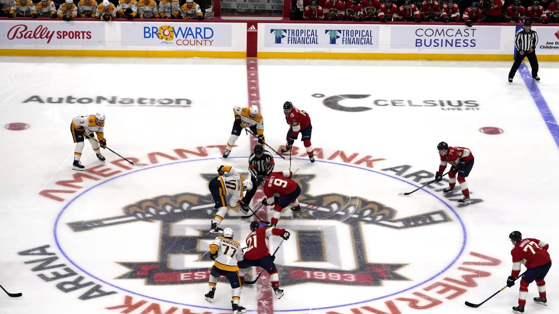 Florida panthers