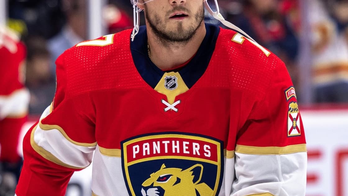 Florida panthers