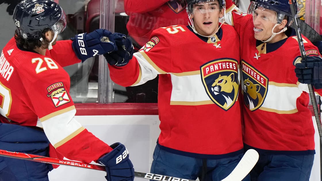 Florida panthers
