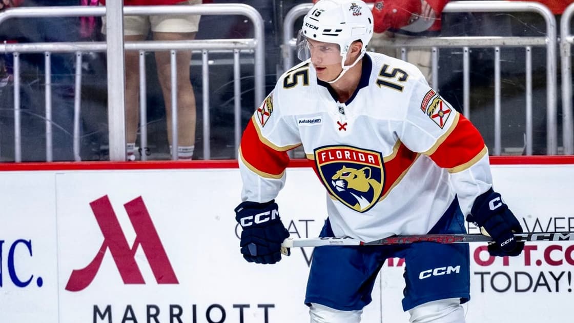 Florida panthers