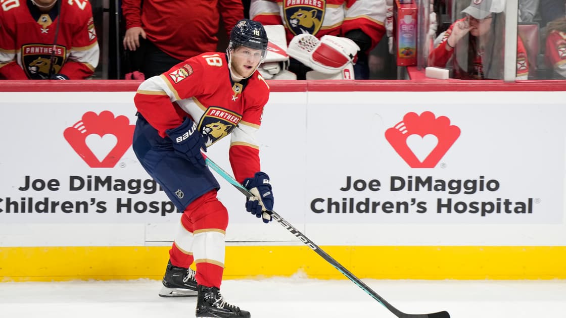 Florida panthers