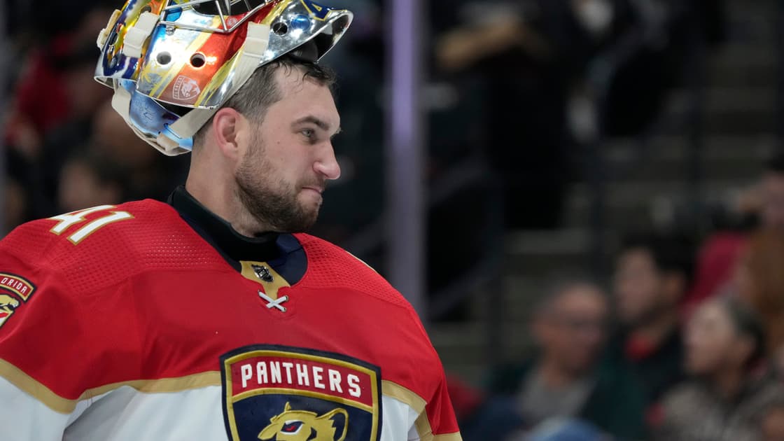 Stolarz panthers