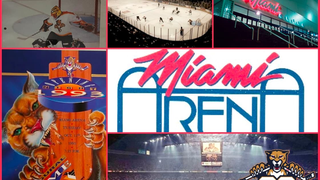 Florida panthers