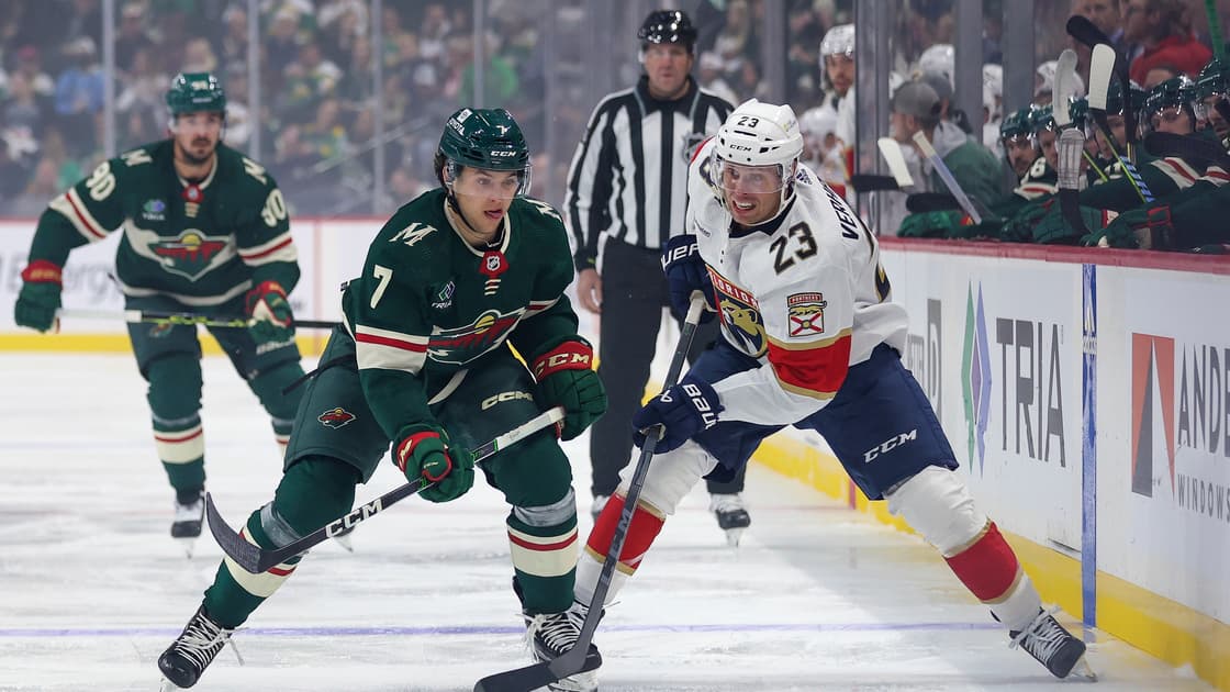 Florida panthers