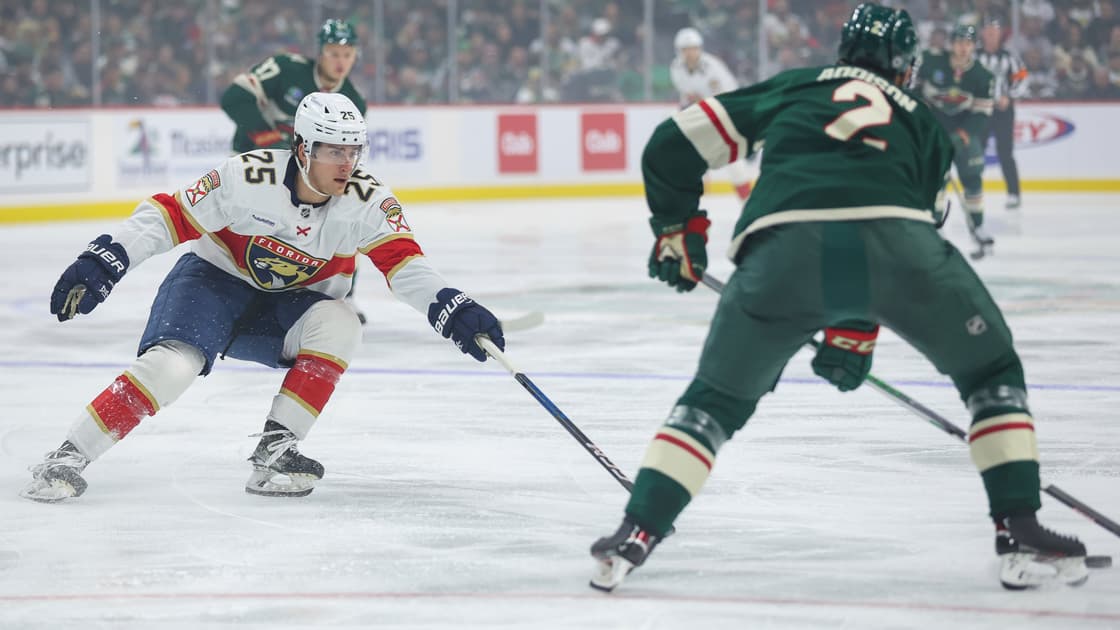 Florida panthers