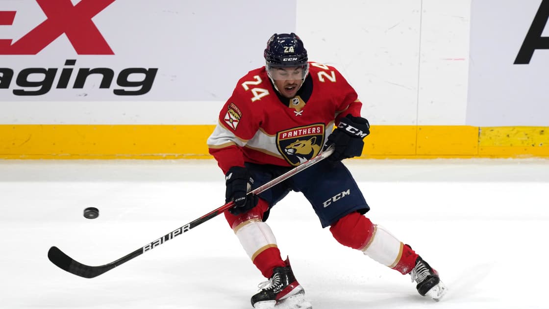 Florida panthers