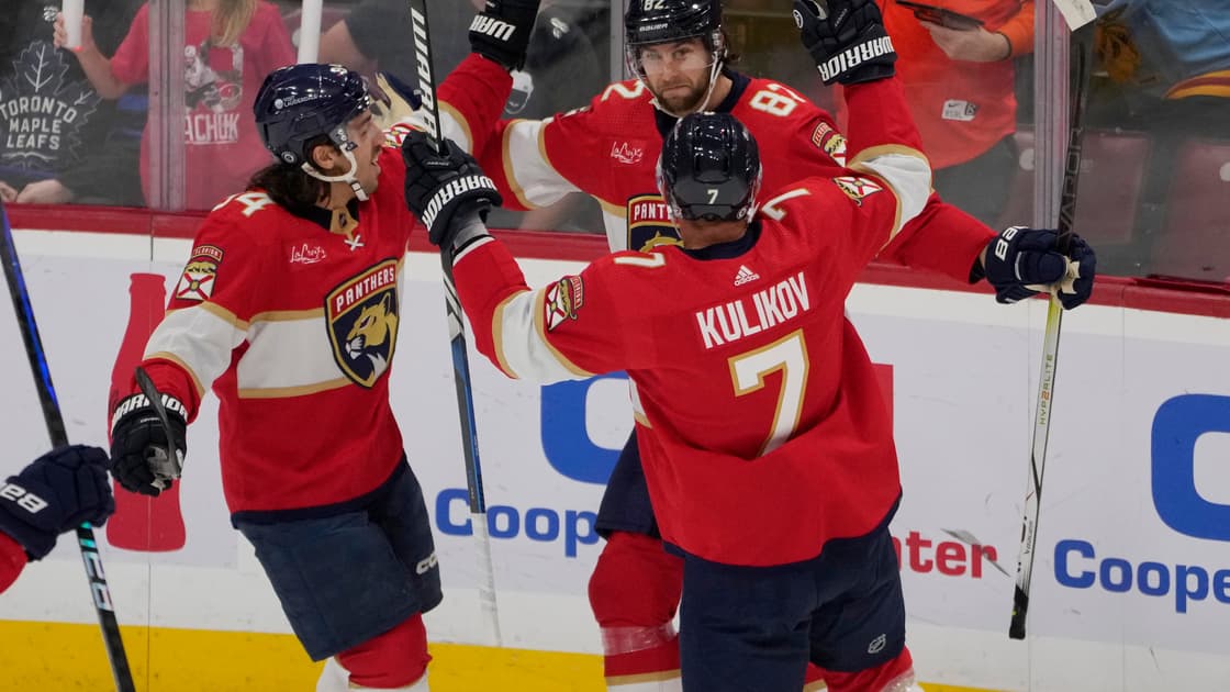 Florida panthers