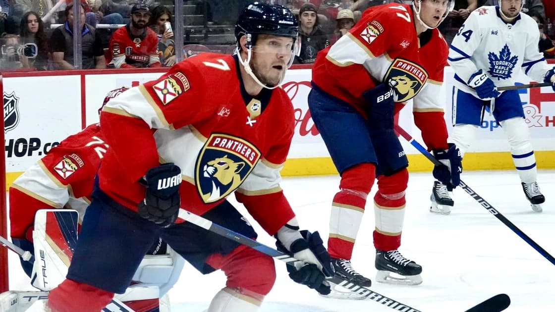 Florida panthers