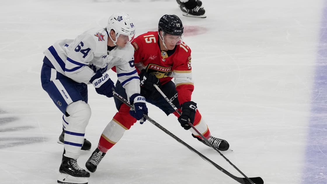 Florida panthers