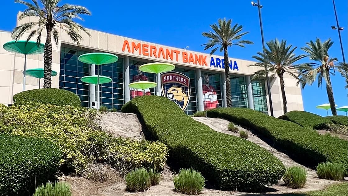 Florida panthers