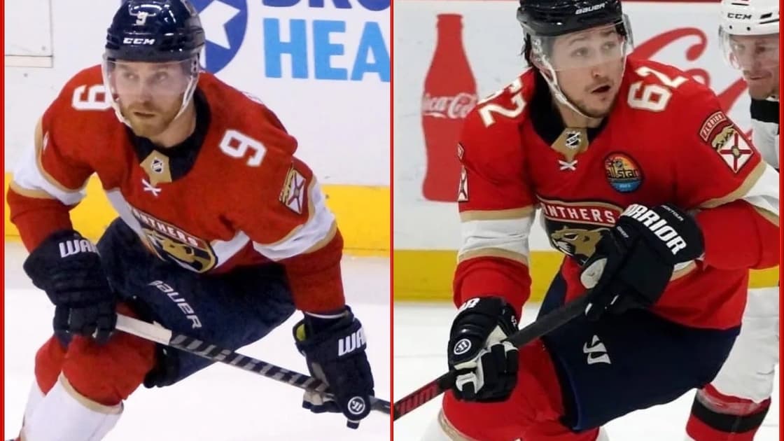 Florida panthers