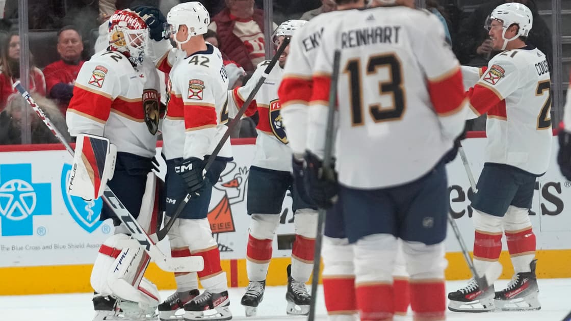 Florida panthers