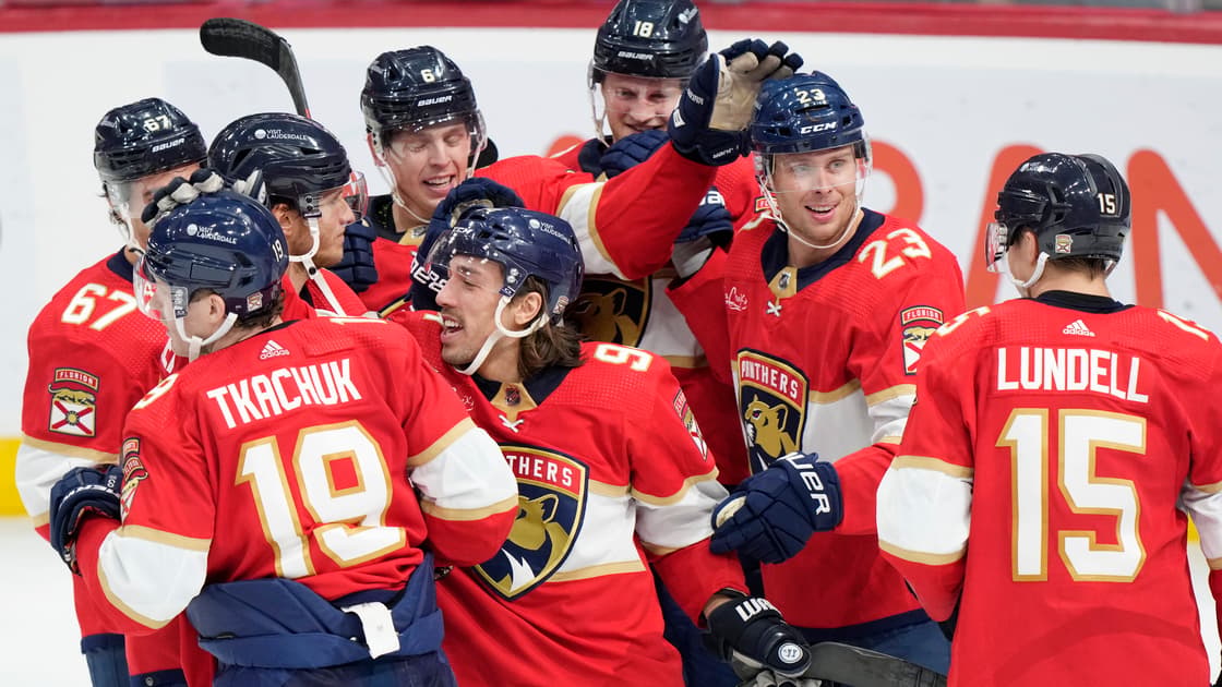 Florida panthers