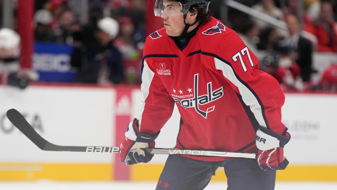 Florida panthers