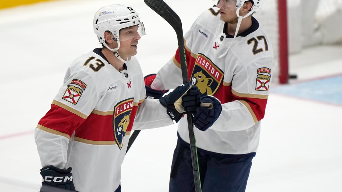 Florida panthers