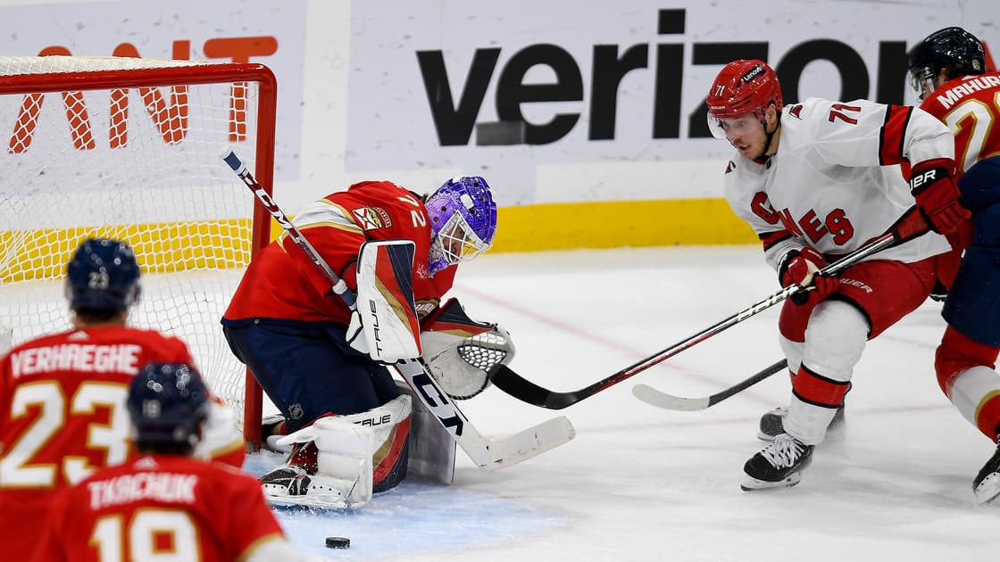 Florida panthers