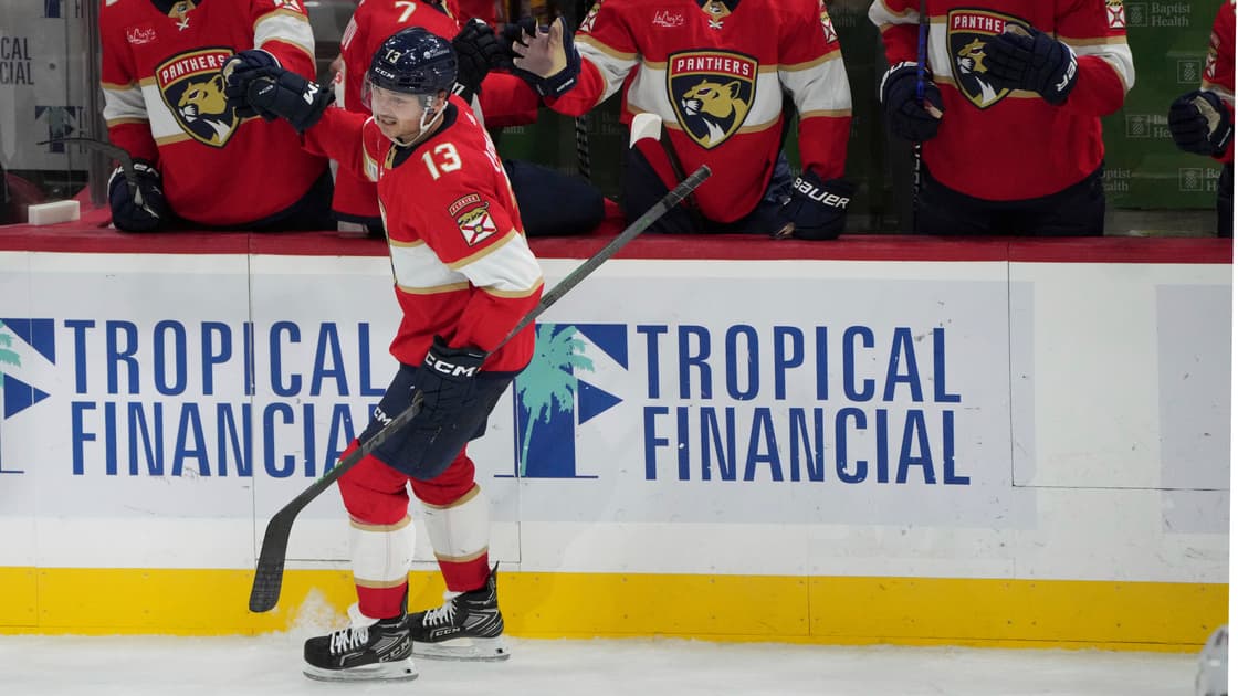 Florida panthers