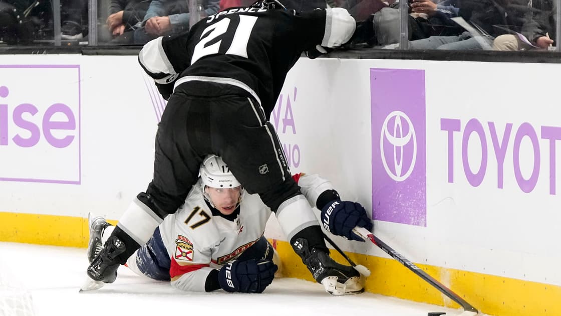 Florida panthers