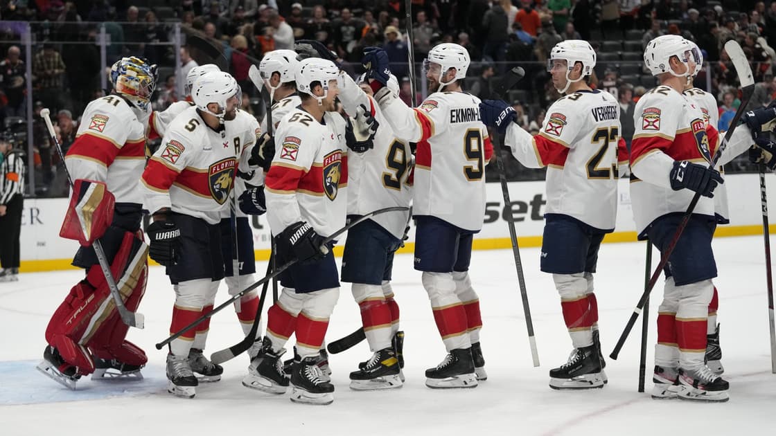Florida panthers