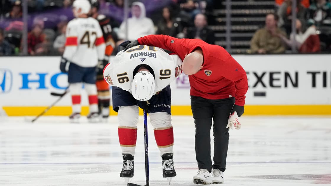 Barkov panthers