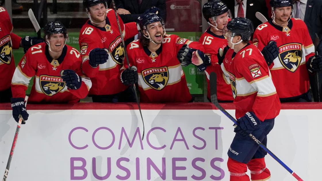 Florida panthers