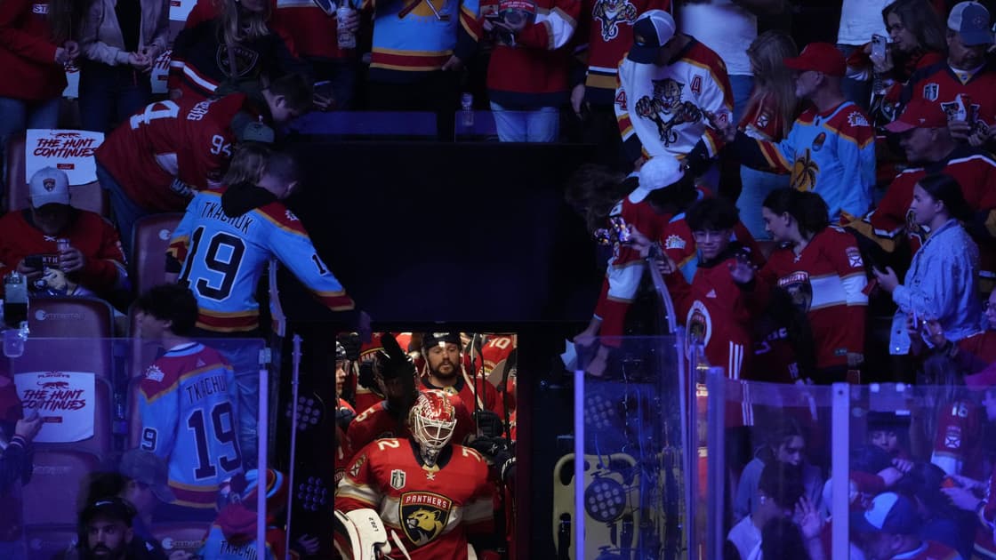 Florida panthers