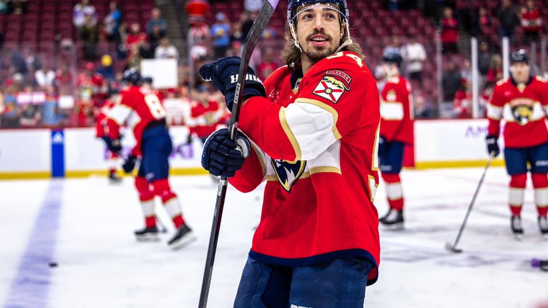 Florida panthers
