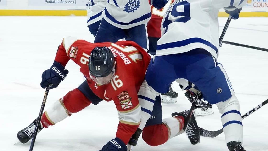 Florida panthers