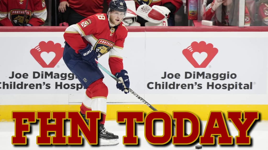Florida panthers