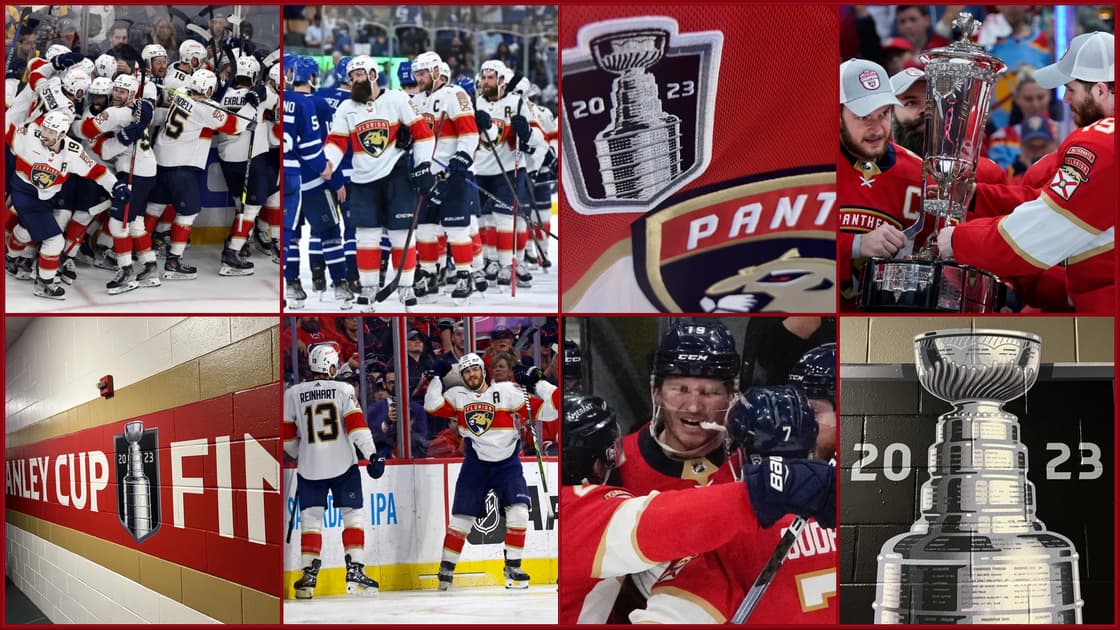 Florida panthers