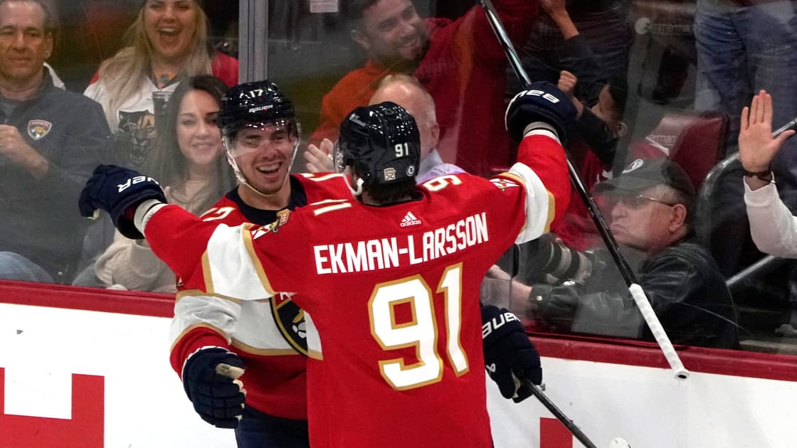 Florida panthers