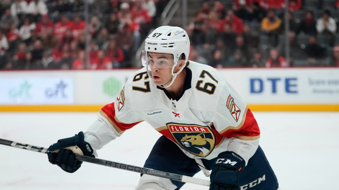 Florida panthers