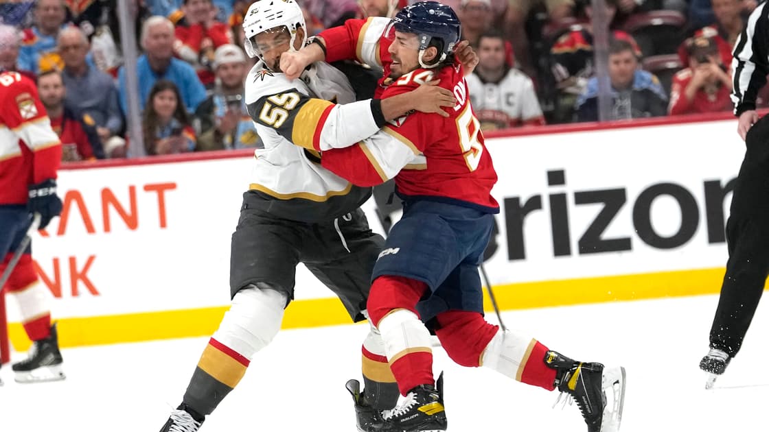 Florida panthers