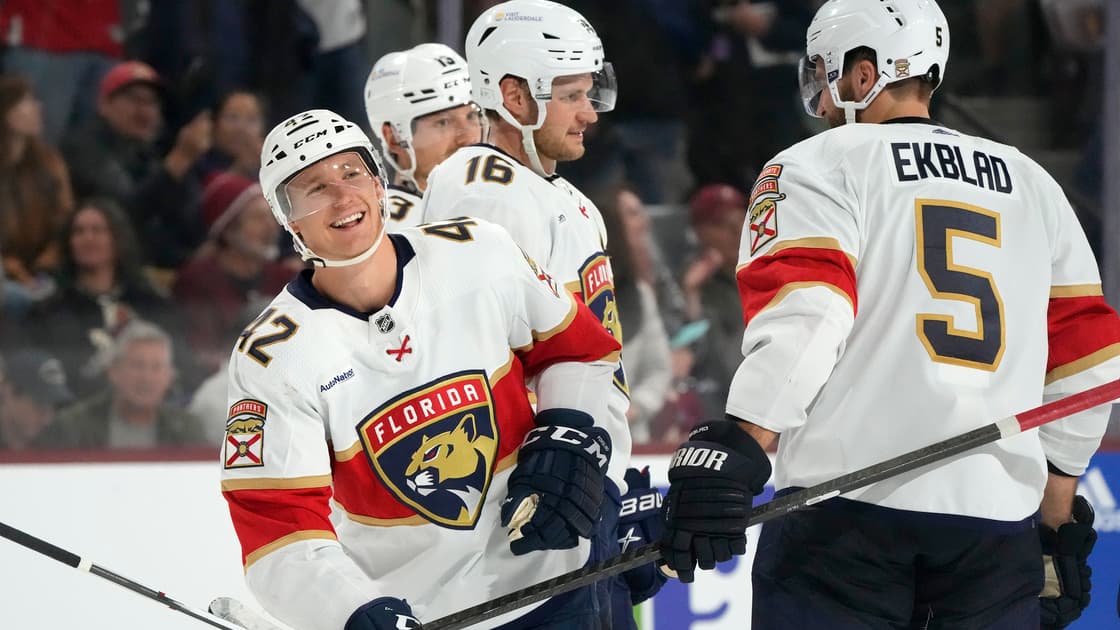 Florida panthers