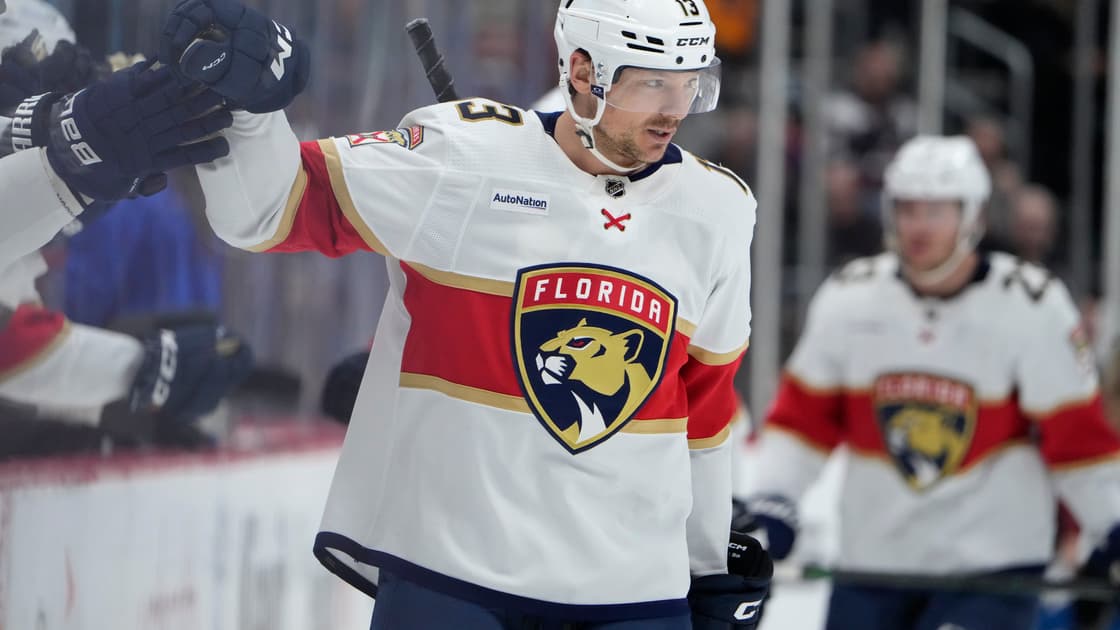 Florida panthers